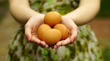 Woman holding a brown eggs - Powered by Adobe