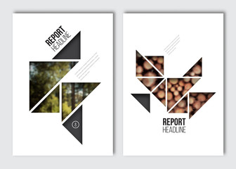 Business brochure design template. Vector flyer layout, blur background with elements for magazine, cover, poster design. A4 size.