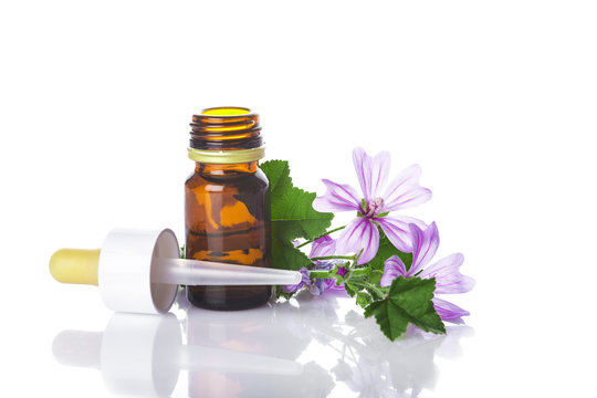Flores de malva y bote con aceites esenciales para medicinas alternativas aislado en fondo blanco