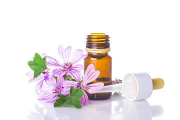 Flores de malva y bote con aceites esenciales para medicinas alternativas aislado en fondo blanco