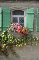Blumenfenster