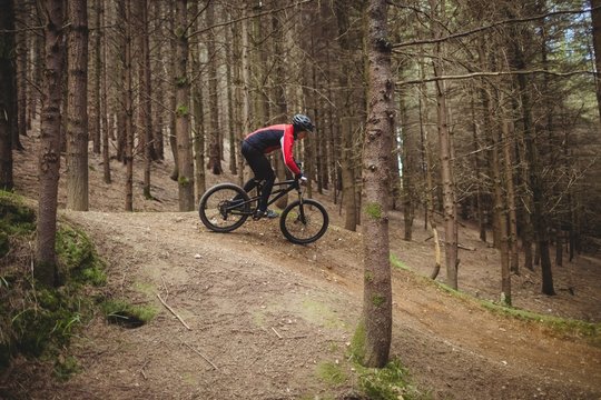 Side view of mountain biker riding in forest