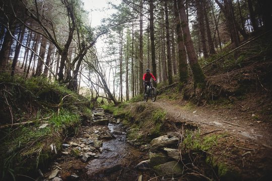 Mountain biker riding by stream in forest