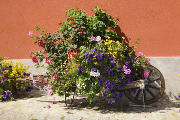 Fototapeta na wymiar Schubkarre mit Blumen
