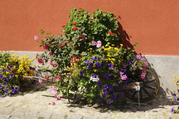 Schubkarre mit Blumen