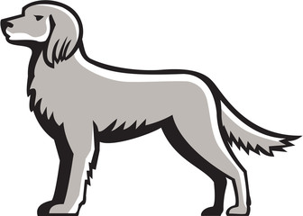 English Setter Standing Side View Retro