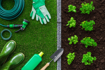 Gardening and food production