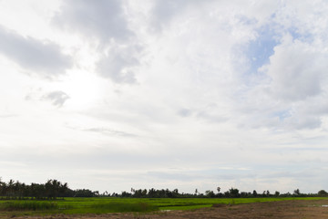 Naklejka premium field on a background of the blue sky