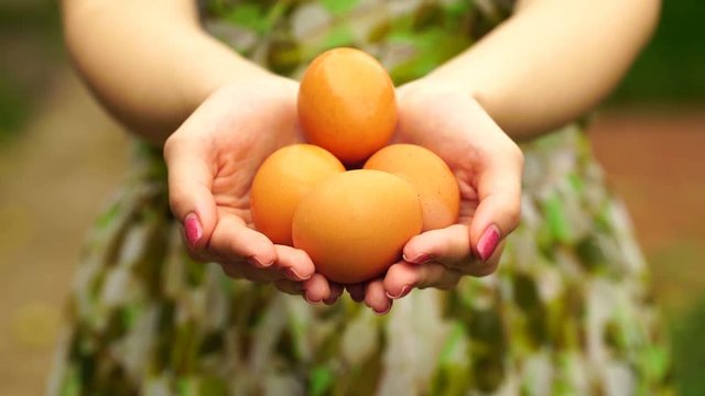 footage Woman holding a eggs close up. 4K