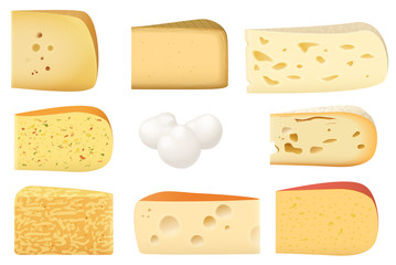 Triangular pieces of different kind of Cheese set. Parmesan mozarella swiss emmentaler cheddar gouda icons collection.