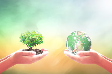 Earth Day concept: Two human hand holding blue earth globe and heart shape of tree. Elements of...