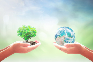 Earth Day concept: Two human hand holding earth globe and heart shape of tree. Elements of this...