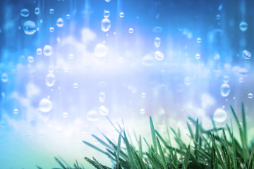 Fototapeta na wymiar fresh green grass with droplets with the rain background