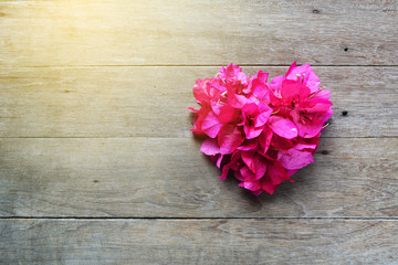 Pink flower heart shape on wood background