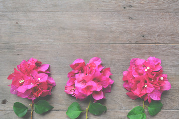 Pink flower on wood background