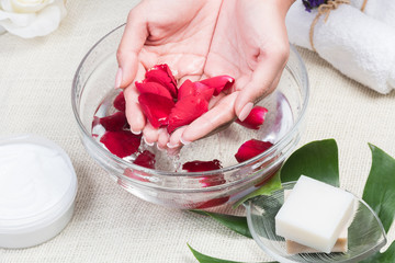 beauty woman hands with a bowl of aroma spa water on a table,close-up,Spa setting with rose pink flowers and petals,bath salt and body-oil