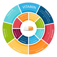 The infographic two circles and Vitamin content. Illustrator eps10.