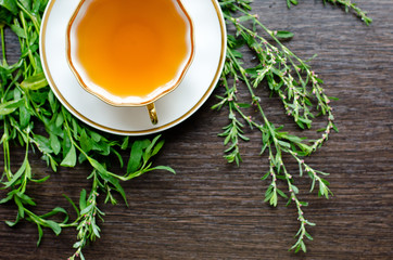 herbal knotweed  tea in a porcelain cup on a dark wooden background
