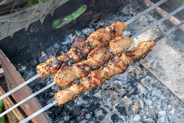 Meat on skewers hot coals