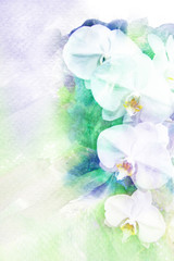 Fototapeta na wymiar Abstract watercolor illustration of blossom orchid.