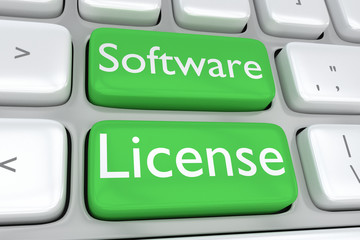 Software License concept
