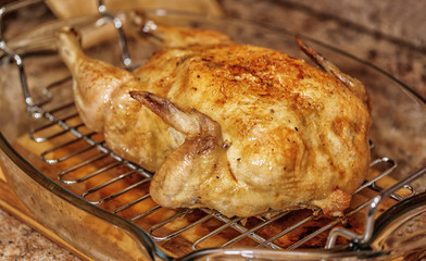 Roasted chicken on the grill