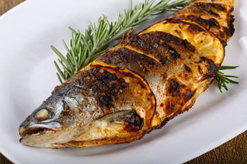 grilled trout