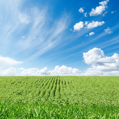 green field and blue sky with clouds