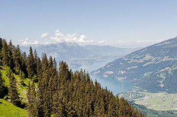Interlaken, Berner Oberland, Stockhorn, Thunersee, Schynige Platte, Alpen, Wanderferien, Schweizer Berge, Sommer, Schweiz