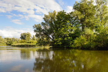 Fototapeta na wymiar Small lake with trees on the shore