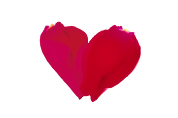 Two rose petals in a heart shape on white background. Flat lay