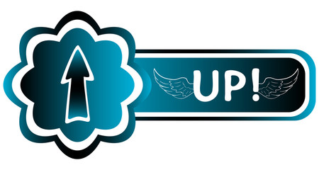 Double blue icon arrow winged up