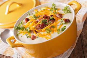 Tasty thick potato soup with bacon and cheddar cheese. horizontal
