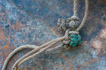 Marine knot