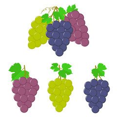 Grapes with leaves - set on the white background.