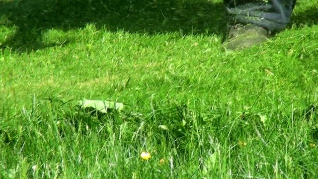 Gardener cuts the grass with a lawnmower. Working weed whacker grass in the garden cuts green the grass regrown to give a beautiful design.