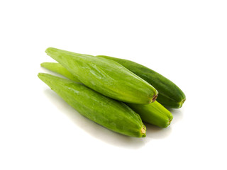 Cowslip creeper of isolate