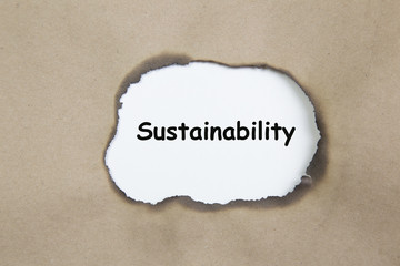 The word Sustainability appearing behind torn green paper.