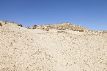 Dünenlandschaft auf der Insel Norderney, Ostfriesland, Niedersachsen, Deutschland