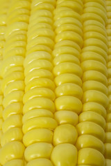 Close up view of fresh corn cobs