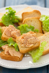 toasts with pate on white dish