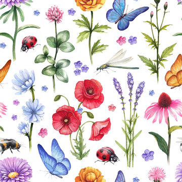 Wild flowers and insect illustrations. Watercolor summer pattern