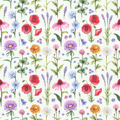 Wild flowers illustrations. Watercolor seamless pattern