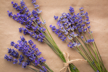 Obraz na płótnie Canvas lavender bunch on paper background