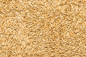 Oat seeds background