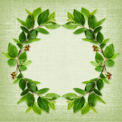 Fototapeta premium Green leaves frame on canvas