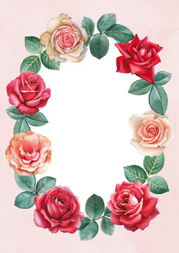 Watercolor illustrations of a rose flowers. Perfect for greeting