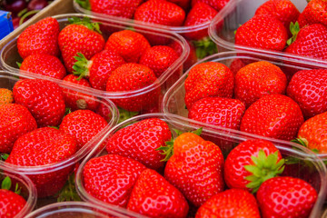 Strawberry bowl on a fruit market