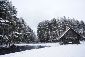  winter landscape