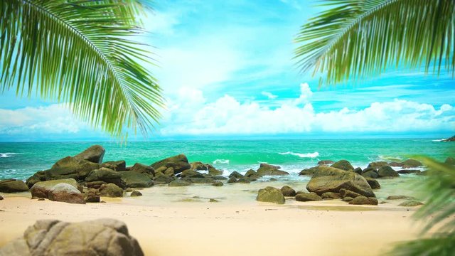Gentle waves wash over boulders and sand on a pristine, tropical beach, as palm leaves flutter in a gentle breeze and storm clouds build on the distant horizon, with sound. Video UltraHD